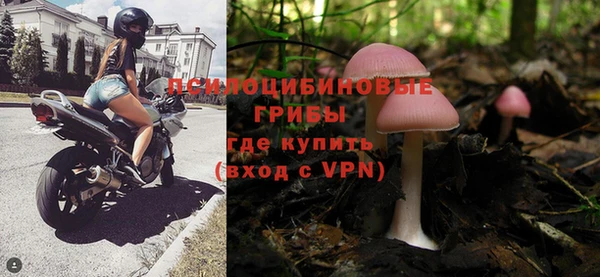 PSILOCYBIN Абдулино