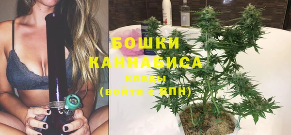 PSILOCYBIN Абдулино