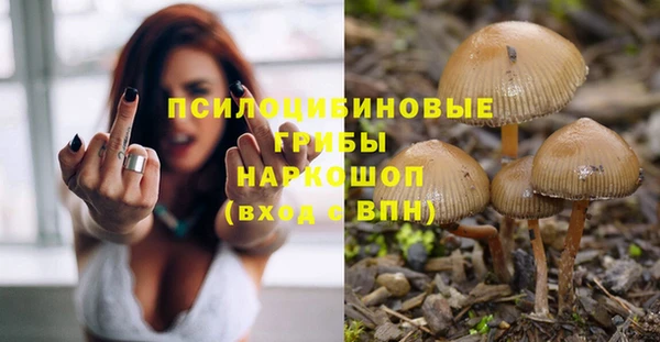 гашиш Абаза