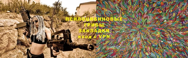 PSILOCYBIN Абдулино