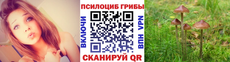 Галлюциногенные грибы GOLDEN TEACHER Оренбург